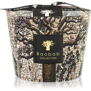 Baobab Collection Sacred Trees Morondo candela profumata 10 cm