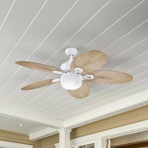 Westinghouse Ventilatore da soffitto con luce 7316440, grigio bahama 7316440, Alluminio / Grigio / Zincato, Soggiorno / Sala da pranzo, Plastica