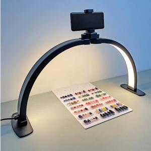 Brilagi - Lampada ad arco LED dimmerabile RADIO LED/25W/24V 3000-6500K nera