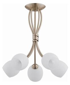 Lampadario a plafone BUENA 5xE14/10W/230V oro