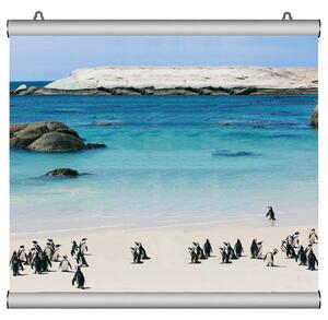 Poster Snap da Parete 120 cm in Alluminio Silver - Barra Porta Poster Monofacciale a Scatto, Grafica Intercambiabile