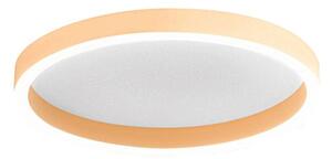 Plafoniera moderna gea luce aela pm faepp2 led pesca alluminio metacrilato - Gea Luce