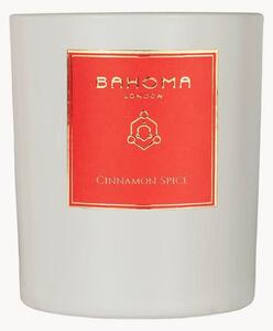 Candela profumata Cinnamon Spice (mandarino, cannella)