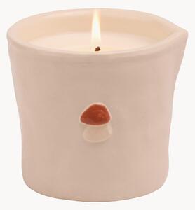Candela profumata Paddywax Wild Mushroom