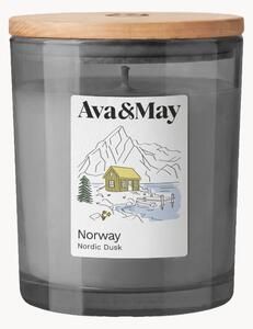 Candela profumata Norway (mughetto, muschio & ambra)