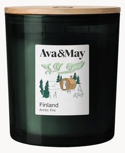 Candela profumata Finland (ambra, chiodi di garofalo & finocchio)