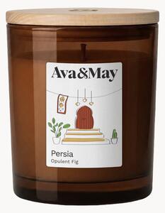 Candela profumata Persia (fico, gelsomino & neroli)
