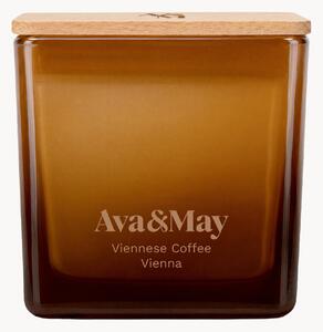 Candela profumata Viennese Coffee (caffè, nocciola & caramello)