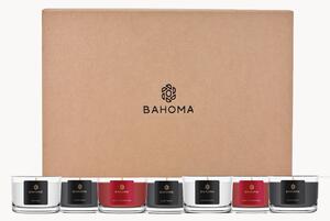 Set di 10 candele profumate fatte a mano Festive (cassis, abete e ambra)
