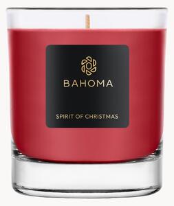Candela profumata fatta a mano Sprit of Christmas (ribes, chiodi di garofalo & ambra)
