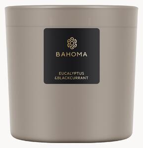 Candela profumata fatta a mano a tre stoppini Eucalipto & Mirtillo Nero (Freesia, Gardenia, Muschio)