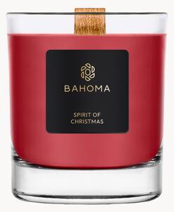 Candela profumata fatta a mano Sprit of Christmas (ribes, chiodi di garofalo & ambra)