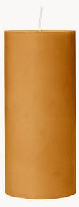 Candela Eco