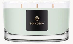 Candela con 3 stoppini fatta a mano in scatola regalo Bahoma (primula, legno di ambra)