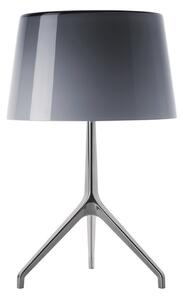 Lampade da tavolo Foscarini, dimmerabile, Grigio, Soggiorno, Alluminio