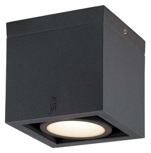 Eskina Frame Plafoniera 3000/4000K Anthracite