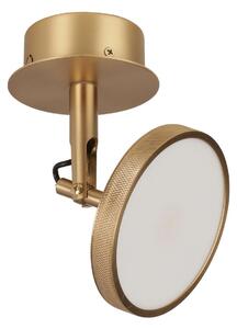 Plafoniera UMAGE, Asteria Spot, dimmerabile, Dorato / Ottone, Soggiorno, Metallo, Design
