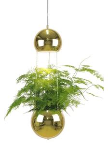 Lampada a sospensione Globen Lighting, Dorato / Ottone, Soggiorno, Metallo