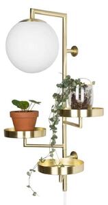 Applique da parete Globen Lighting, Dorato / Ottone, Soggiorno, Metallo