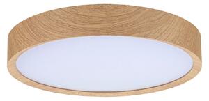 Plafoniera Paulmann, Tega, Legno, Bagno, Plastica, Moderno