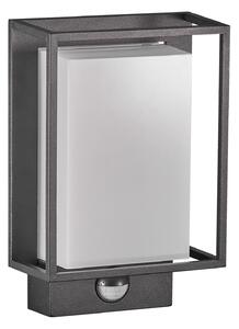 Lampade da esterno Nordlux, Nestor, Nero, Metallo, Moderno