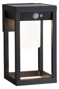 Lampade da esterno Paulmann, Marisol, Nero, Plastica