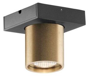 Plafoniera LIGHT-POINT, dimmerabile, Dorato / Ottone, Soggiorno, Alluminio