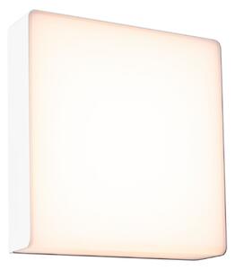 Lampade da esterno Paulmann, Azalena, dimmerabile, Bianco, Alluminio