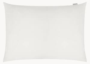 Federa rinfrescante Classy, varie misure