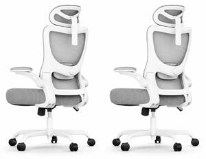 Sedia da ufficio Marsail, ergonomica: sedia da scrivania con schienale alto in mesh e