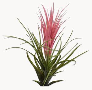 Fiore artificiale Tillandsia