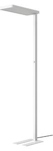 Lampada da terra Arcchio, Timon, dimmerabile, Bianco, Studio / Ufficio, Alluminio, Moderno