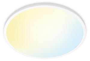Plafoniera WiZ, SuperSlim, dimmerabile, Bianco, Soggiorno, Plastica, Moderno