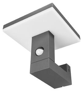 Lampade da esterno Lucande, Olesia, Nero, Terrazza, Alluminio, Moderno