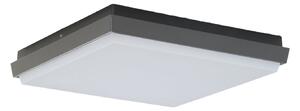 Lampade da esterno Lucande, Amra, Nero, Terrazza, Plastica, Moderno