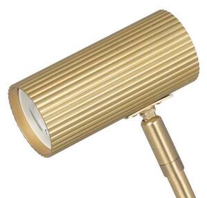 Globen Lighting Lampada con morsetto Hubble, Ottone / Oro, Soggiorno / Sala da pranzo, Metallo, Design, Lampada con morsetto
