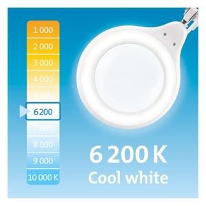 Extol - Lampada da tavolo dimmerabile a LED con lente d'ingrandimento LED/10W/230V bianca