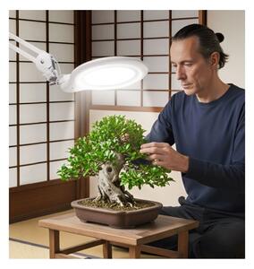 Extol - Lampada da tavolo dimmerabile a LED con lente d'ingrandimento LED/10W/230V bianca