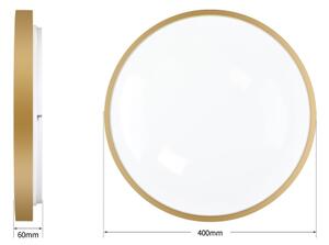 Brilagi - Lampada LED dimmerabile GLASS POOL DOUBLE LED/48W/230V 40 cm dorata + telecomando