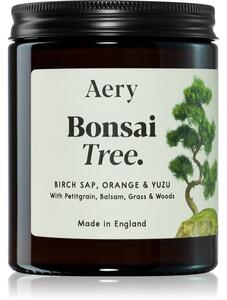 Aery Botanical Bonsai Tree candela profumata 140 g