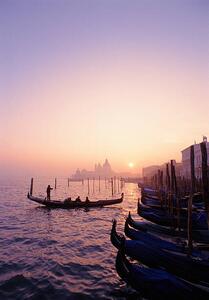 Fotografia Italy Venice gondolas at sunset, Grant Faint