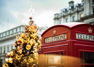 Fotografia An Illuminated Christmas Tree and Red, Tim Grist Photography