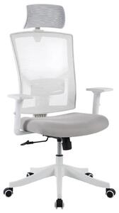 Sedia da ufficio - Sedia ergonomica per scrivania - Supporto lombare regolabile - Poggiatesta e braccioli rialzabili - Regolabile in altezza con funzione basculante e bloccabile - Rotazione a 360° - Bianco
