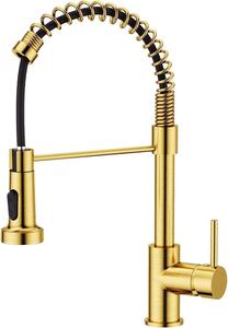 Rubinetto da cucina FORIOUS con doccetta estraibile, oro spazzolato, orientabile a 360°