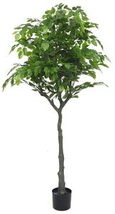 Pianta Artificiale H160 Cm Ficus Con Vaso Verde