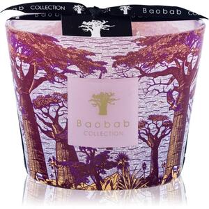 Baobab Collection Sacred Trees Massasso candela profumata 10 cm