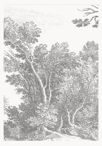 Carta da parati in tessuto non tessuto Engraved Landscapes V