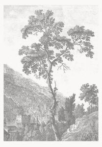 Carta da parati in tessuto non tessuto Engraved Landscapes I