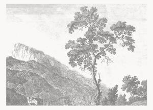 Carta da parati in tessuto non tessuto Engraved Landscapes I