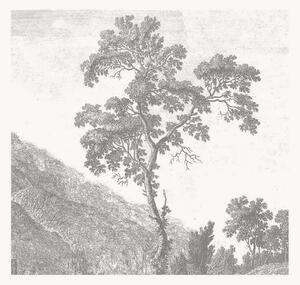 Carta da parati in tessuto non tessuto Engraved Landscapes I